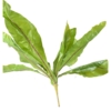 Asplenium artificiel 70 cm – Image 3