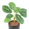 Alocasia artificiel 50 cm – Image 3