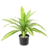 Dracaena large artificiel vert et blanc 55 cm