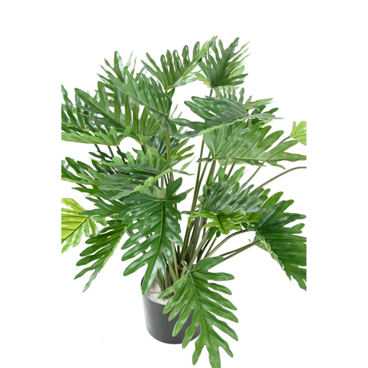 Philodendron (selloum) artificiel 70 cm – Image 4