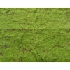 Mousse des bois artificiel 2 cm – Image 3