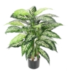 Dieffenbachia pot artificiel – Image 2