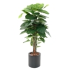 Pothos tuteur artificiel 120 cm – Image 2