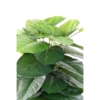 Pothos tuteur artificiel 120 cm – Image 3