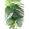 Pothos tuteur artificiel 120 cm – Image 4