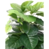 Pothos tuteur artificiel 120 cm – Image 5