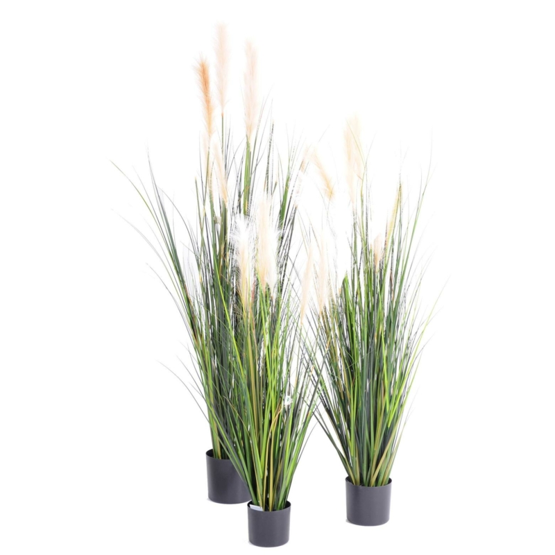 Carex artificiel