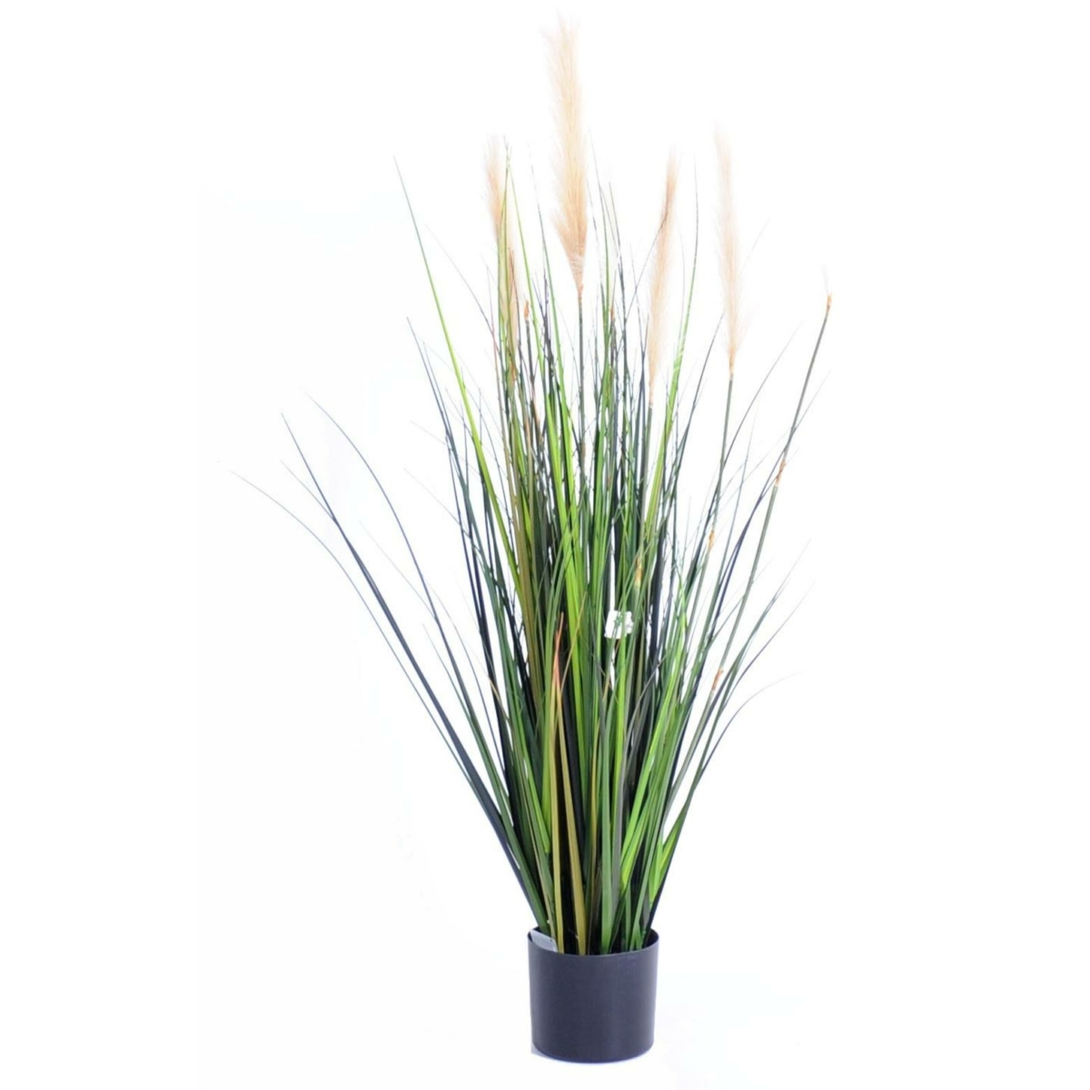 Carex artificiel – Image 2