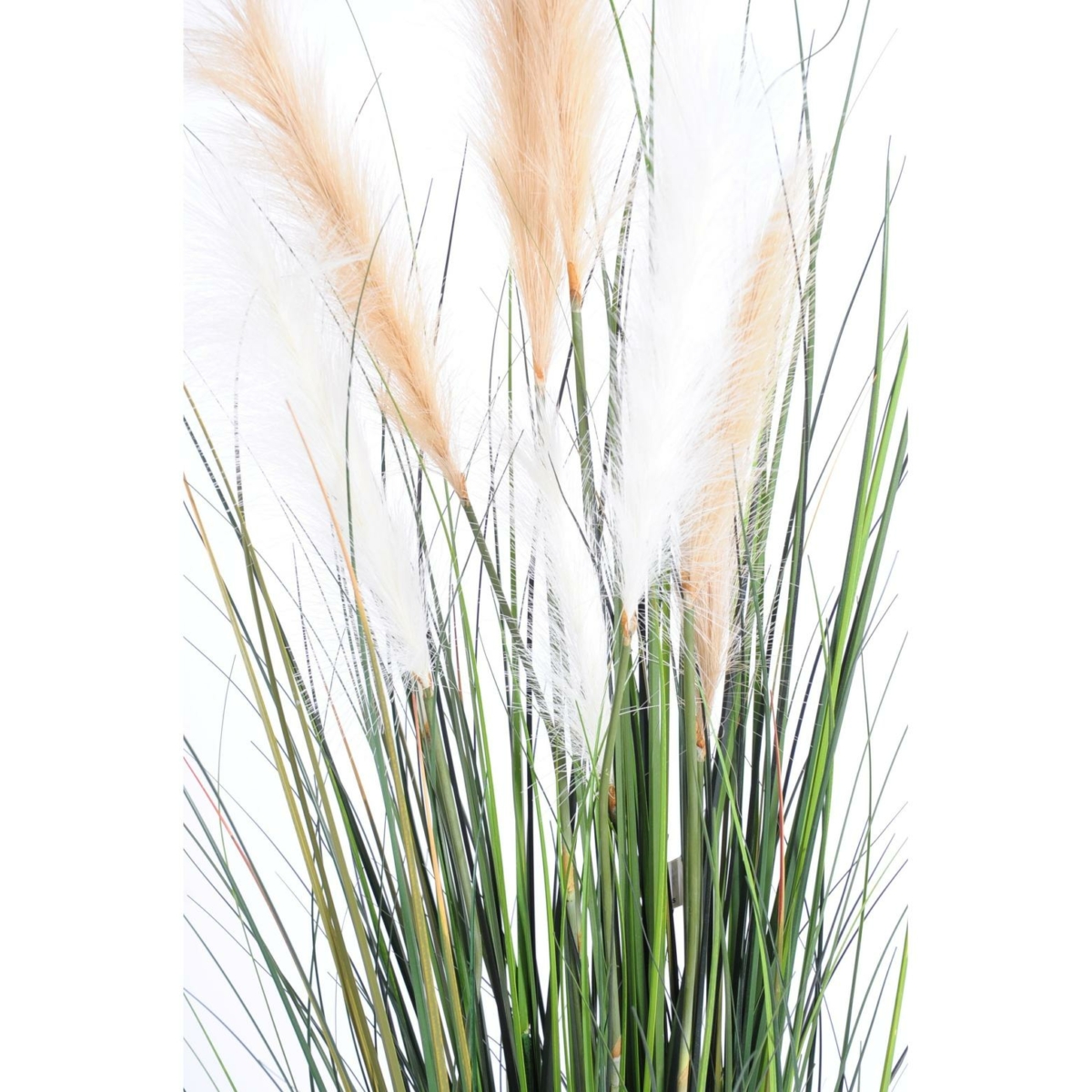 Carex artificiel – Image 3