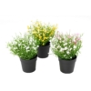 Marguerite mini pot artificiel rose 20 cm - résistant aux UV – Image 3