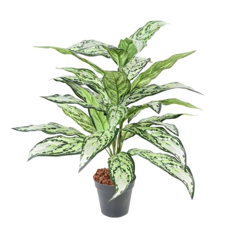 Aglaonema artificiel 80 cm