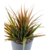 Herbe large artificiel 34 cm – Image 2