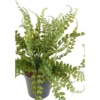 Fougère artificiel 38 cm – Image 2