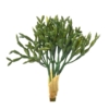 Rhipsalis artificiel 15 cm – Image 2