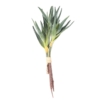 Aloe artificiel 35 cm