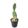 Cactus artificiel 34 cm – Image 2