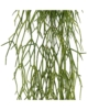 Rhipsalis artificiel 50 cm – Image 2