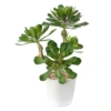 Succulente en pot artificielle 30 cm