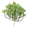 Succulente artificiel 13 cm – Image 4