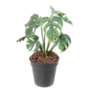 Philodendron artificiel 35 cm – Image 2