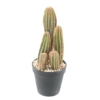 Cactus finger artificiel 28 cm