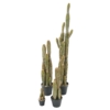 Cactus finger artificiel 28 cm – Image 3