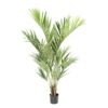 Kentia royal artificiel