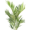 Kentia royal artificiel – Image 3