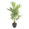 Kentia royal artificiel – Image 2