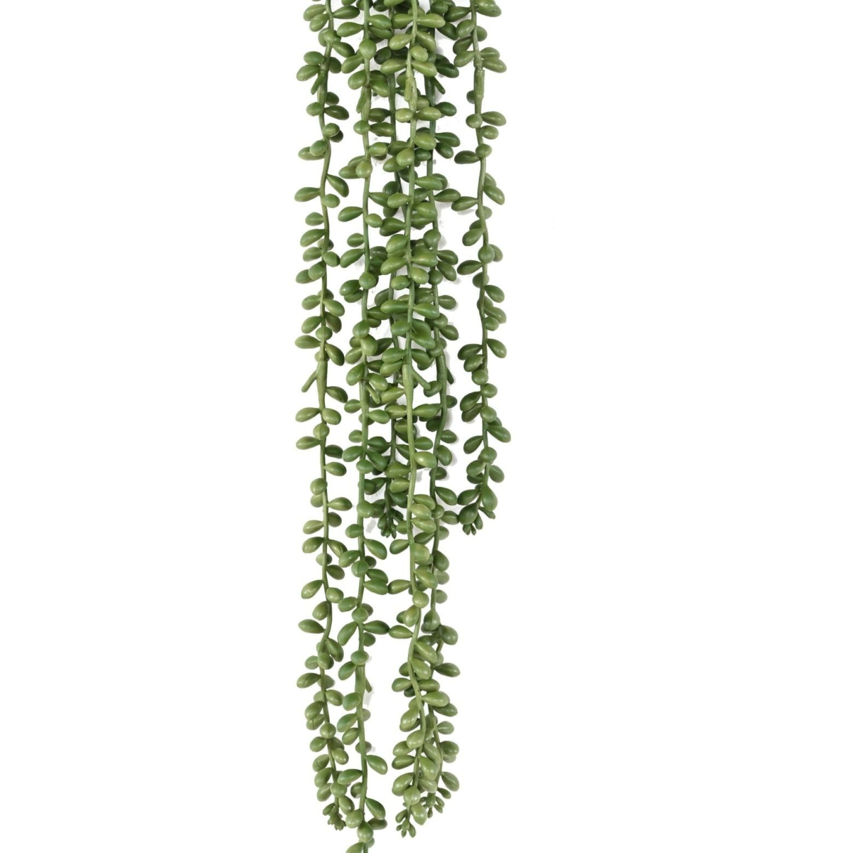 Crassula kleinia (collier de perle) artificiel 60 cm – Image 2