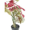 Begonia maculata artificiel 70 cm – Image 4