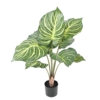 Aphelandra large pot artificiel 70 cm – Image 4