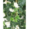 Lierre hollandais fleuri artificiel 90 cm – Image 2