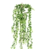 Pothos medio artificiel 200 cm – Image 2