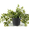 Lierre pot artificiel 70 cm vert et blanc - résistant aux UV – Image 3