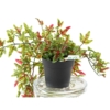 Lierre pot artificiel 70 cm vert et rouge - résistant aux UV – Image 3