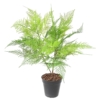 Fougère piquet artificiel 80 cm