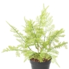 Fougère piquet artificiel vert foncé 45 cm – Image 2