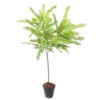 Cassia piquet artificiel 75 cm – Image 2