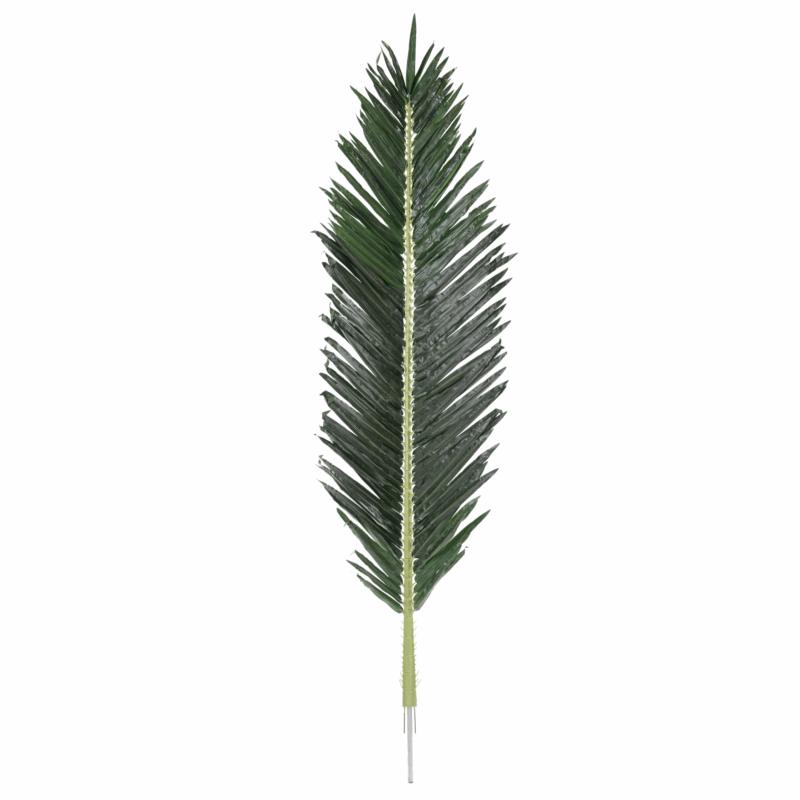 Feuille de palmier royal