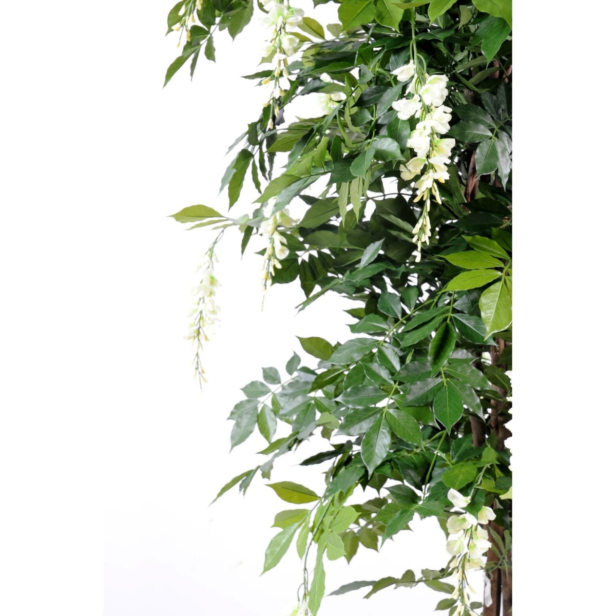 Glycine multi artificiel crème 110 cm – Image 2