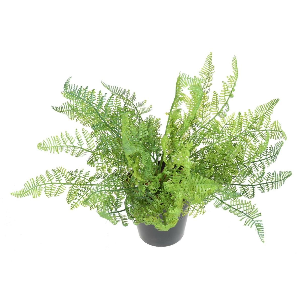 Fougère daullia bullata artificiel 35 cm – Image 4